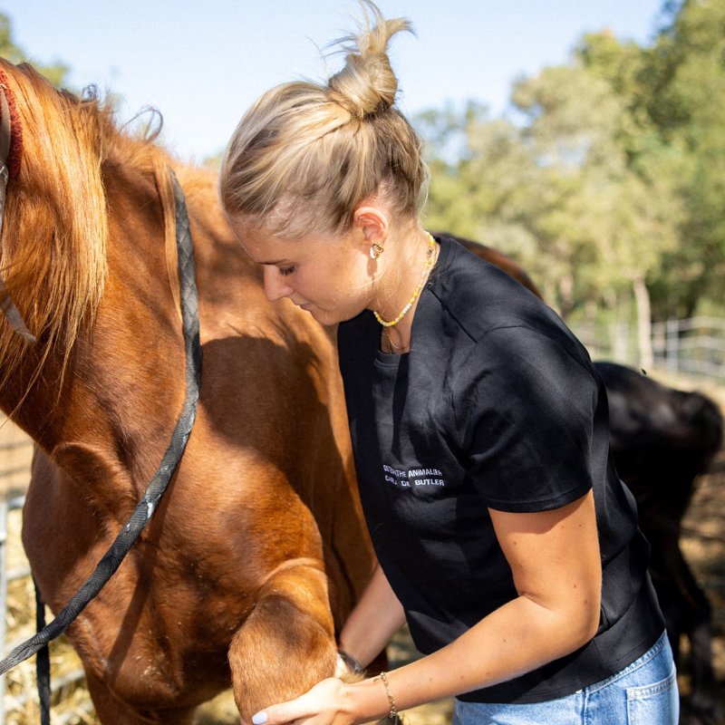Carla manipule la jambe d'un cheval alezan lors d'une séance