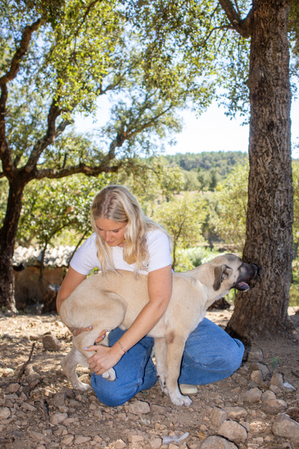 Carla accroupie avec un chiot sous un arbre