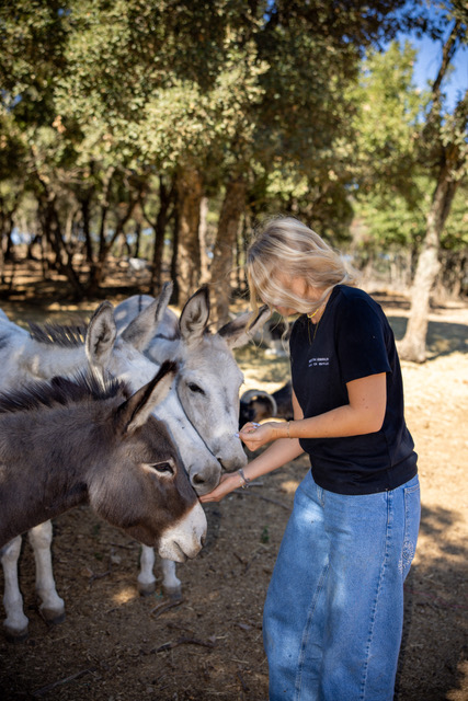 Carla donne à manger à des ânes