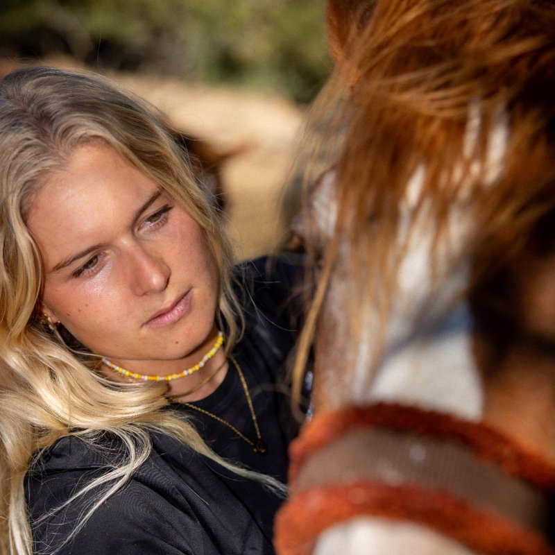 Carla recueille le regard d'un cheval alezan